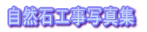 ���R�΍H���ʐ^�W